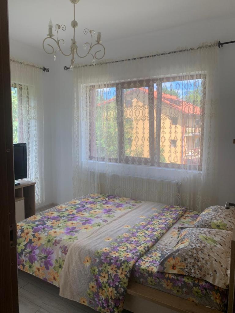 B House Busteni Ngoại thất bức ảnh